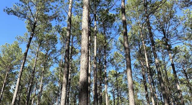 Photo of 0 Hwy 13/ Percy Bates Rd, Oak Vale, MS 39656
