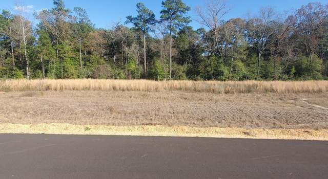 Photo of 19 Golden Oak, Hattiesburg, MS 39402