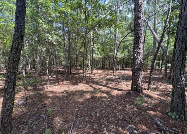Property at 5b Tinker Creek Rd, Williston, SC 29853