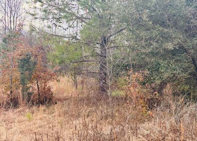 Property at Tbd Woodward Dr, Couchton, SC 29801