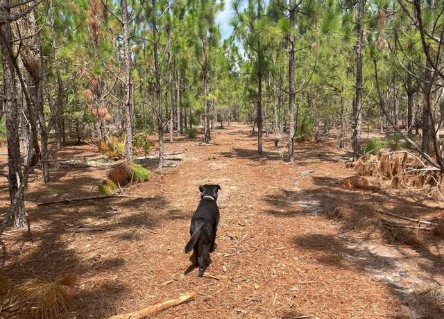 Property at Ppf 8 Payne Pond Rd Unit Ppf 8, Kershaw, SC 29067