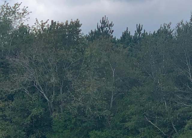 Property at Tbd Highway 3, Blackville, SC 29817