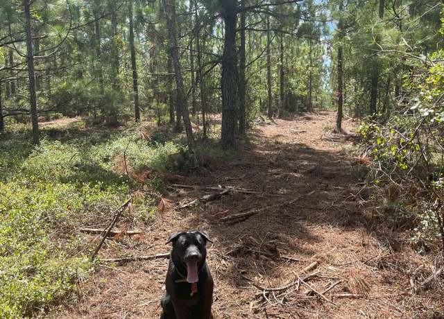 Property at Ppf 9 Payne Pond Rd Unit Ppf 9, Kershaw, SC 29067