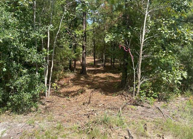 Property at Ppf 11 Payne Pond Rd Unit Ppf 11, Kershaw, SC 29067