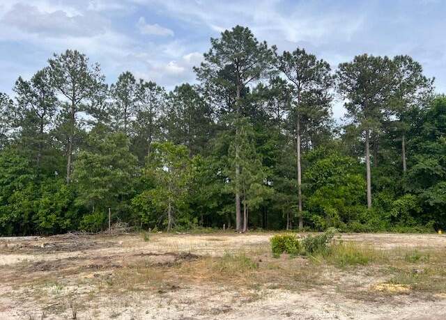 Property at Fyf 3 Fox Young St Unit Fyf 3, Wagener, SC 29164