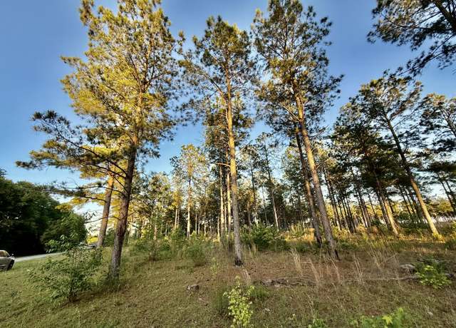 Property at 506 Nature Trl, Blackville, SC 29817
