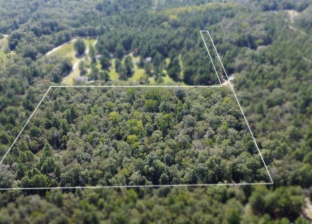 Property at Tbd Bubba Gunter Rd, Wagener, SC 29164
