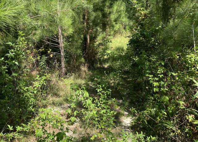 Property at Bff 4 Brunson Teal Rd Unit Bff 4, Kershaw, SC 29067