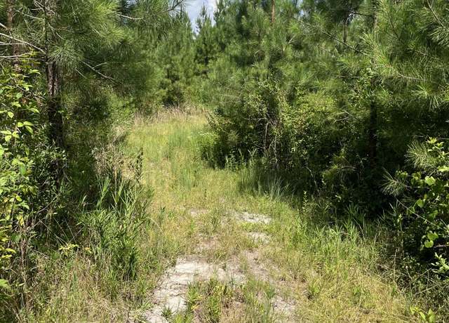 Property at Bff 5 Brunson Teal Rd Unit Bff 5, Kershaw, SC 29067