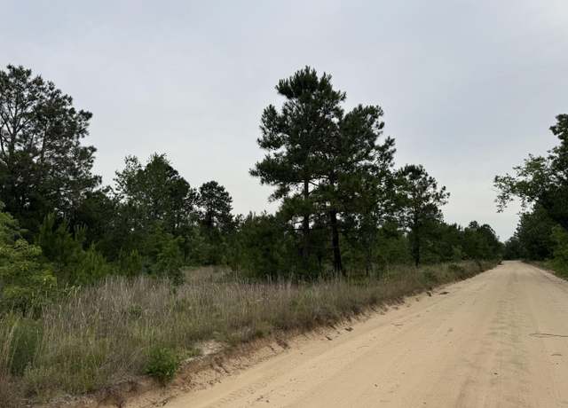 Property at 0 Baughmanville Road Rd, Wagener, SC 29164
