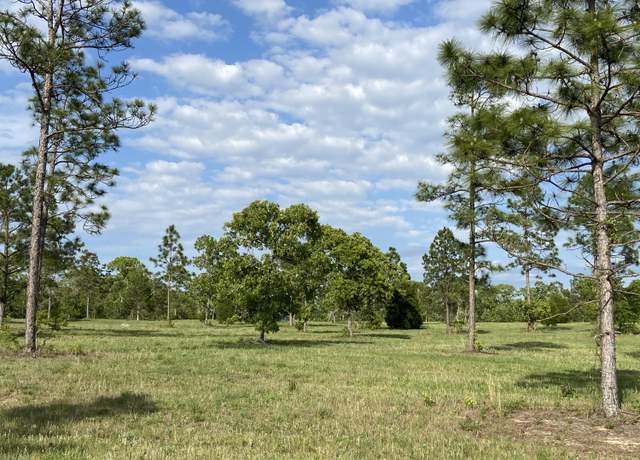 Property at 16.12 Acre Bethcar Church Rd, Wagener, SC 29164