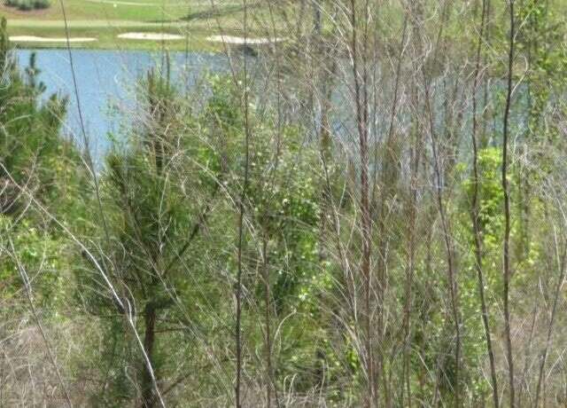 Property at 105 Sea Grass Ln, Aiken, SC 29803