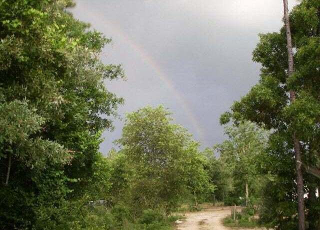 Property at Lot A-1 Pottery Mill Dr, Trenton, SC 29847