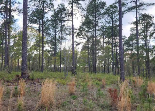 Property at Lot 43 Pasture Creek Ln, SC 29803