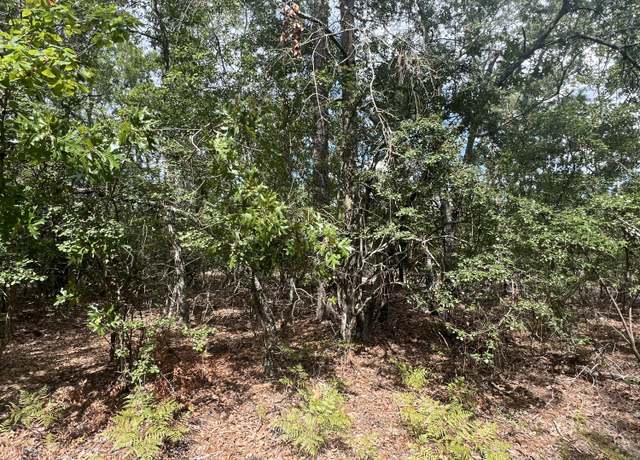 Property at Lot 103-5 Harlem St, Beech Island, SC 29842