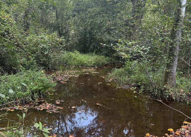 Property at Tbd Bradley Mill Rd, Aiken, SC 29805