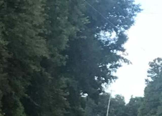 Property at Tbd Izlar St, Blackville, SC 29817