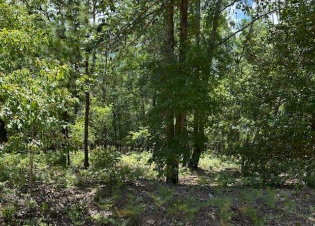 Property at Tbd Watermelon Ln, Barnwell, SC 29812