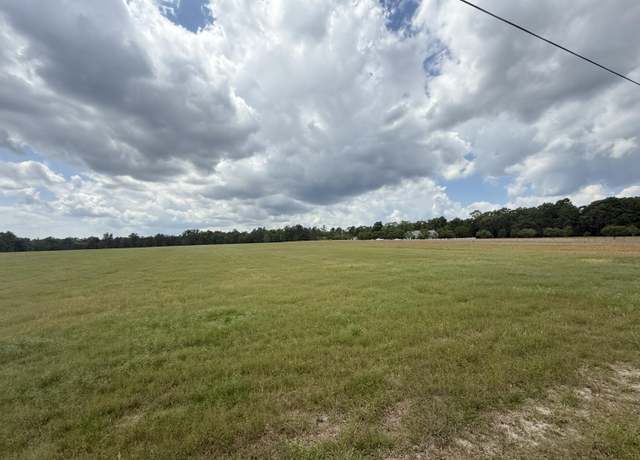 Property at Tbd Mt Beulah Dr Rd, Windsor, SC 29856