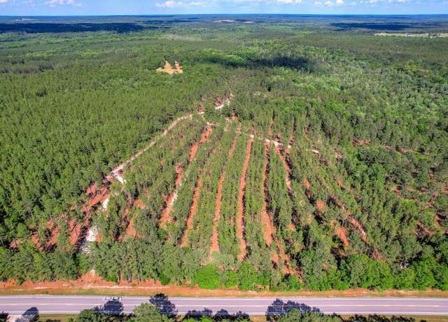 Property at 80 Acres Columbia Hwy N, Ridge Spring, SC 29129