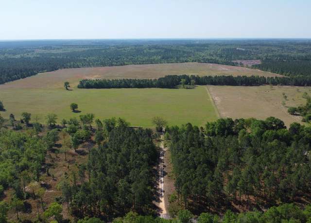 Property at Tbd Browns Pond Rd, Wagener, SC 29164