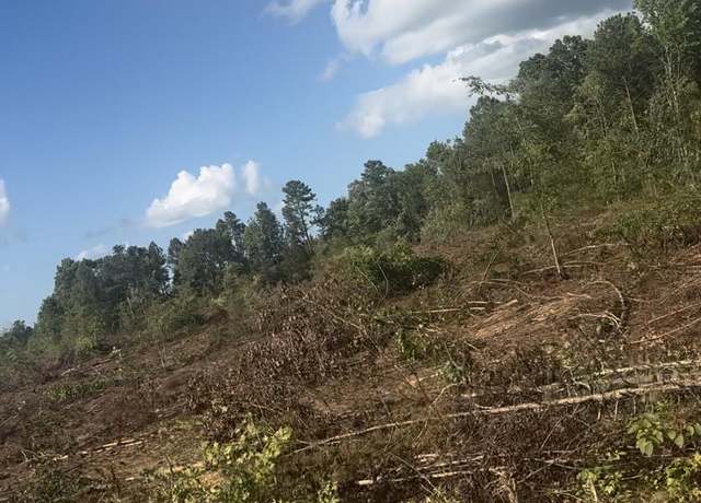 Property at 00 Log Creek Rd, Edgefield, SC 29824