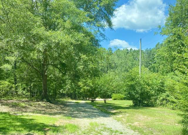 Property at 145 Magpie St, Wagener, SC 29164