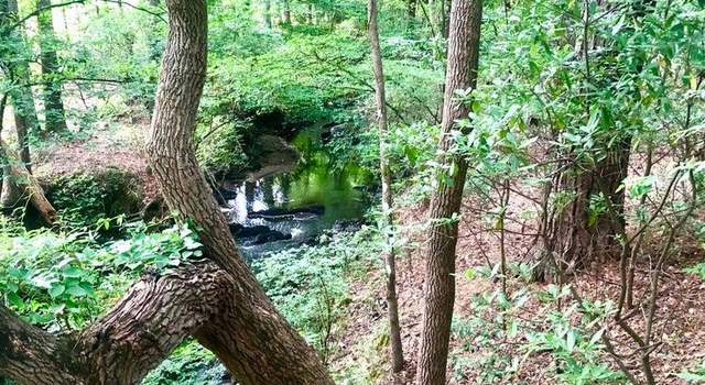 Photo of Tbd Ridgeview Lake Rd, Johnston, SC 29832
