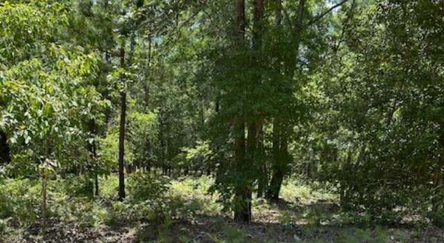 Photo of Tbd Watermelon Ln, Barnwell, SC 29812