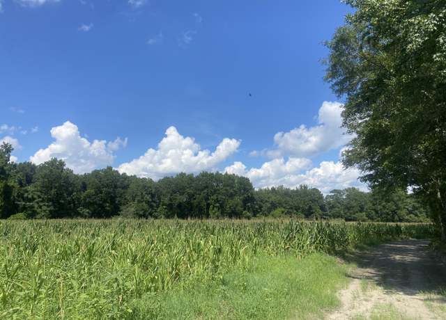 Property at 0 Muller Dr, Manning, SC 29102