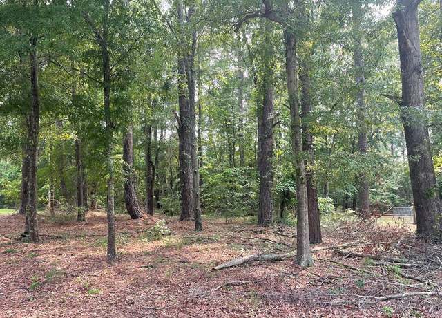 Property at 0 Gin Pond Dr, Summerton, SC 29048