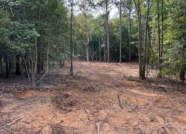 Property at 2598 Sargent Rd Lot 1 Rd, Dalzell, SC 29040