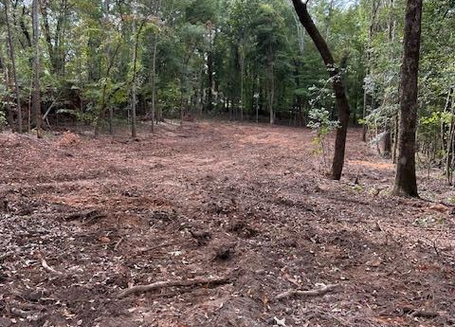 Property at 4530 Seymour Rd Lot 4 Rd, Dalzell, SC 29040