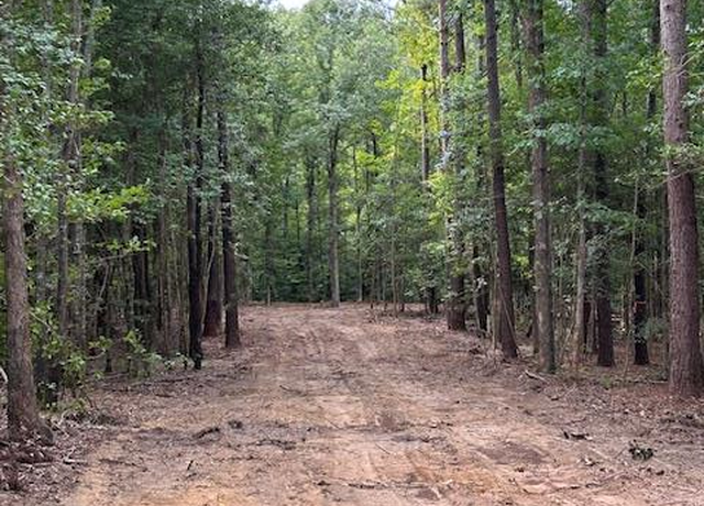 Property at 4540 Seymour Rd Lot 5 Rd, Dalzell, SC 29040