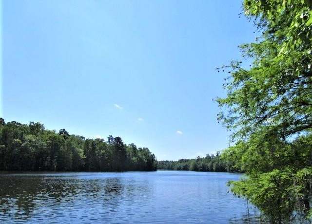Property at Lot 6 Poplar Creek Dr, Elloree, SC 29047