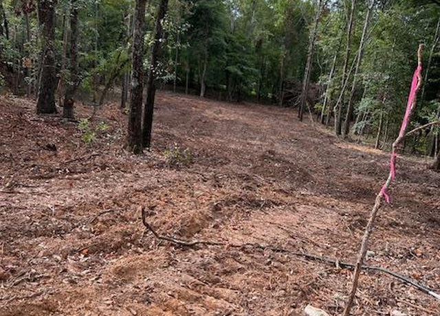 Property at 4570 Seymour Rd Lot 6 Rd, Dalzell, SC 29040