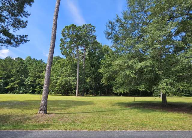 Property at 145 Woodlake Dr #46, Manning, SC 29102