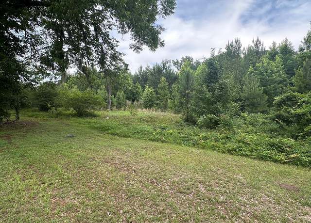 Property at Lot B Atkinson St, Turbeville, SC 29162