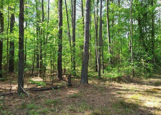 Property at 0 Fish Rd, Dalzell, SC 29040