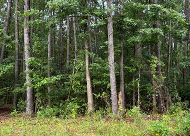 Property at 226 Wilson St, Sumter, SC 29150