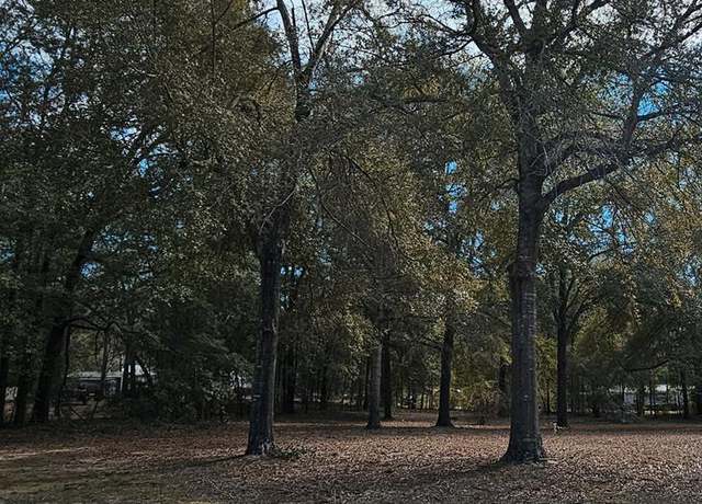 Property at TBD Princess Pond, Summerton, SC 29148