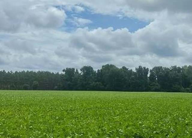 Property at TBD Puddin Swamp Rd, Turbeville, SC 29162
