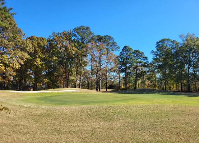 Property at Lot1 Ph2 Plantation Dr, Santee, SC 29142