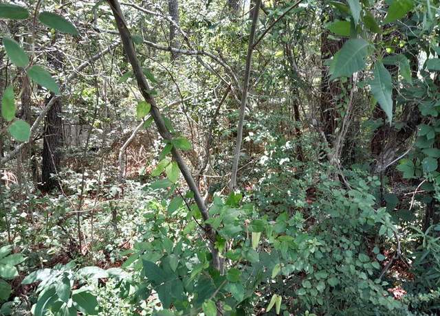 Property at 0 Off Baron Dr, Pineville, SC 20468