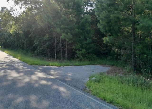 Property at 0 Near Thomas Walters Rd, Pineville, SC 29468