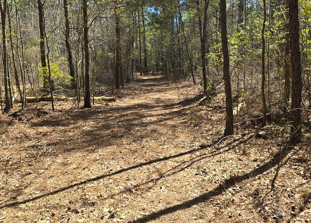 Property at 0 Falcon Dr, Sumter, SC 29150