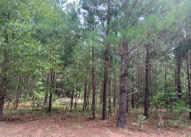 Property at 0000 Rabbit Den Rd, Rembert, SC 29128