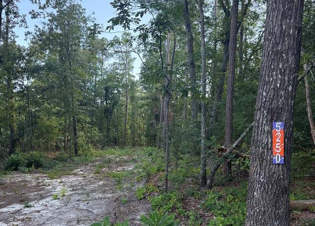Property at 5250 Seymour Rd, Dalzell, SC 29404