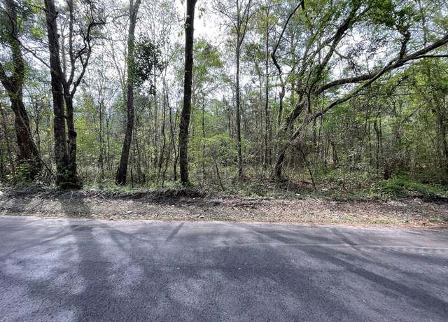 Property at TBD Cartoon Cir, Eutawville, SC 29048