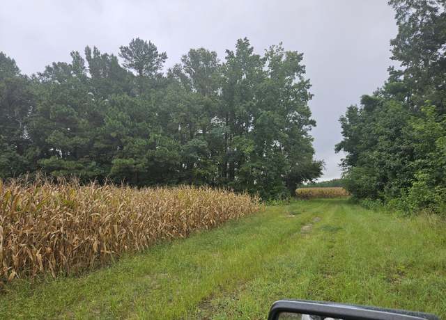 Property at 61.77 Ac Marion Church Rd, Salters, SC 29590
